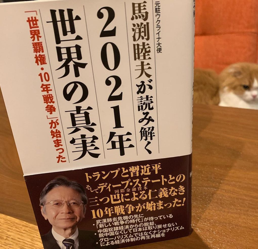 馬淵睦夫の著書「2021年世界の真実」